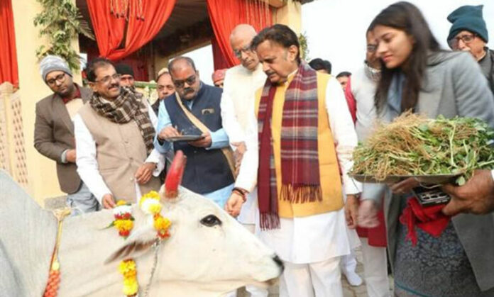 उप-मुख्यमंत्री-शुक्ल-ने-नववर्ष-पर-गौपूजन-कर-शुरू-किया-गोलोक-दर्शन-महोत्सव