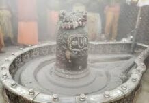 हर परेशानी से मिलेगा छुटकारा, श्री महाकाल की दिव्य भस्म आरती के करें दर्शन!